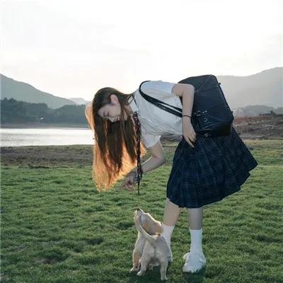 疯狂的兔子